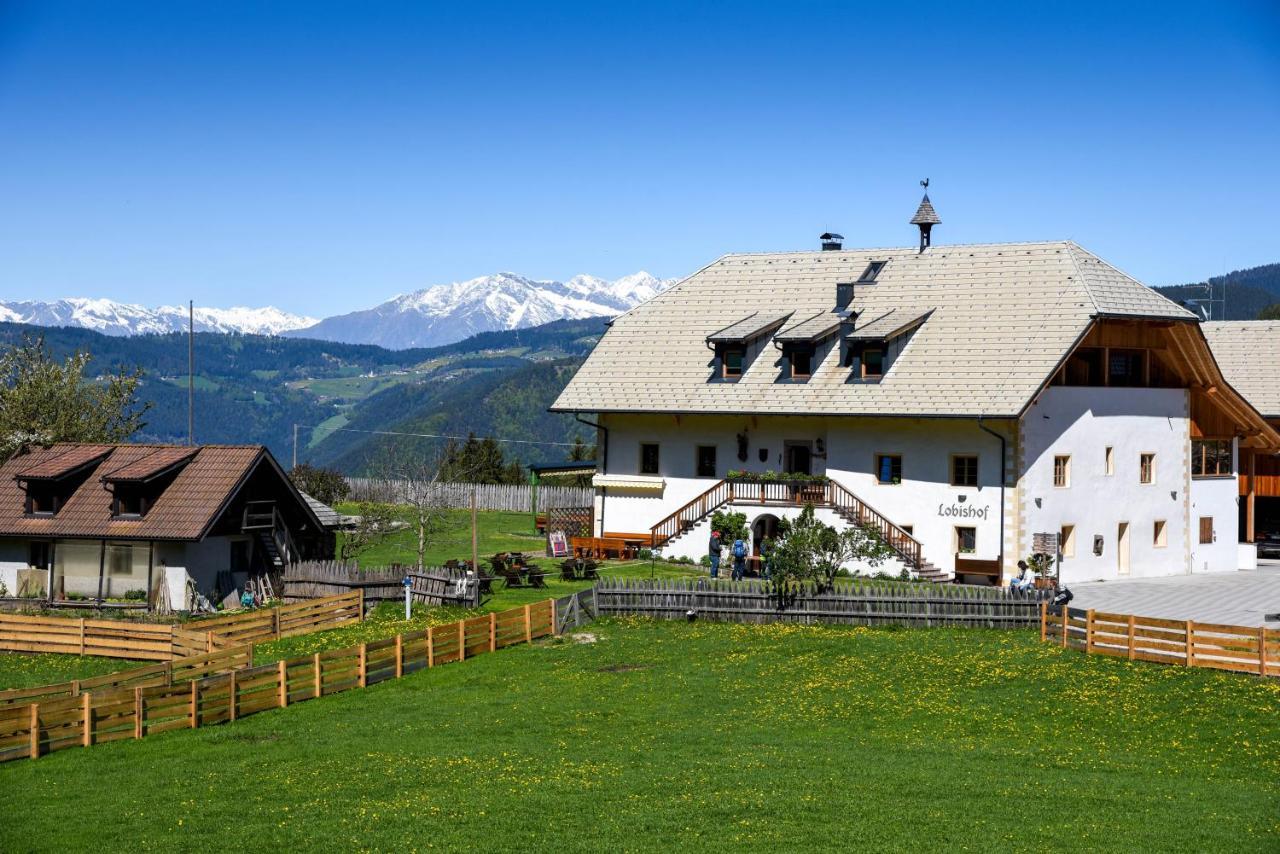 Apartment Lobishof Soprabolzano